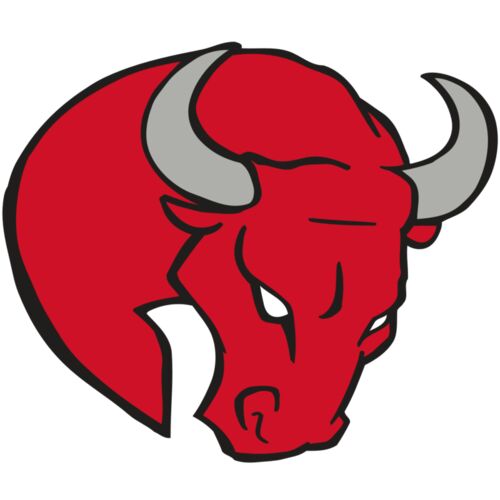 AR BULL 24 RC Thumbnail