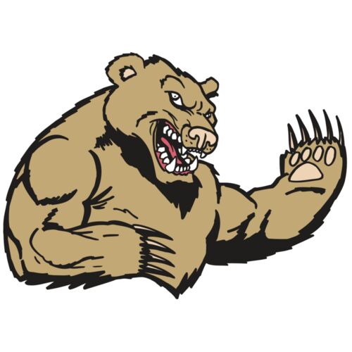 AR5 Bear 31 RQC Thumbnail