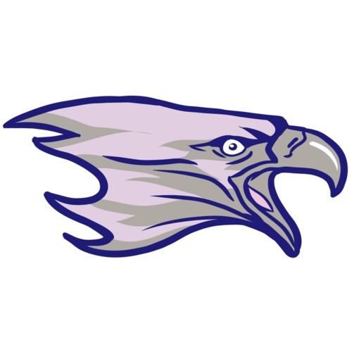 AR15 EAGLE 01 RQC Thumbnail