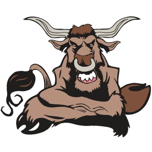 AR5 BULL 17 RQC Thumbnail