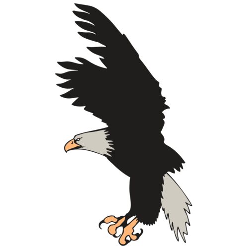 AR EAGLE 91 RC Thumbnail