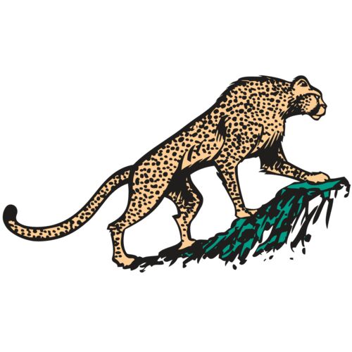 AR CHEETAH 02 RC Thumbnail