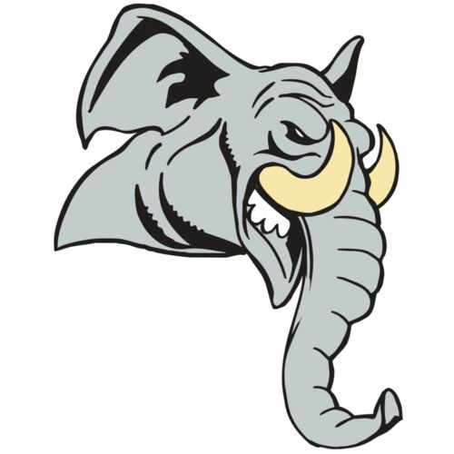 AR5 Elephant 12 RQC Thumbnail