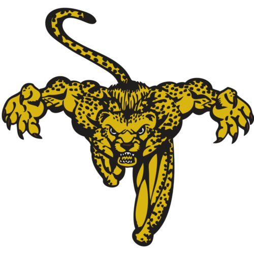 BAW CHEETAH 08 RC Thumbnail