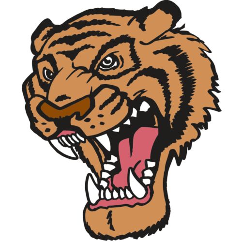 AR TIGER 12 RC Thumbnail