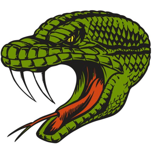 BAW SNAKE 14 RC Thumbnail