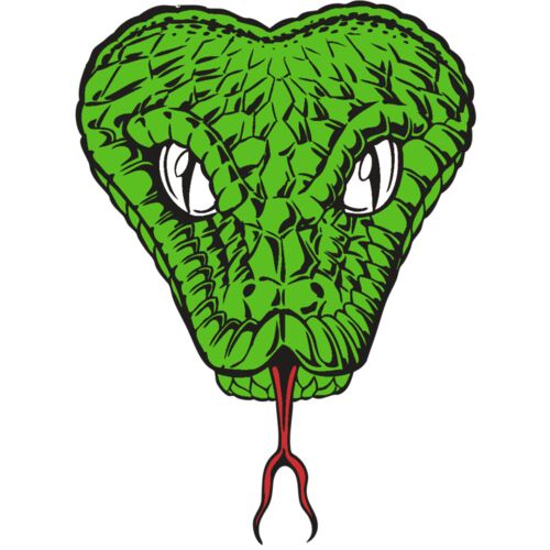 BAW SNAKE 08 RC Thumbnail