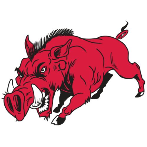 AR22 RAZORBACK 01 RQC Thumbnail