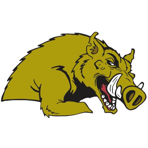 AR RAZORBACK 23 RC Thumbnail