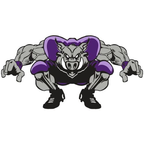 AR RAZORBACK 28 RC Thumbnail