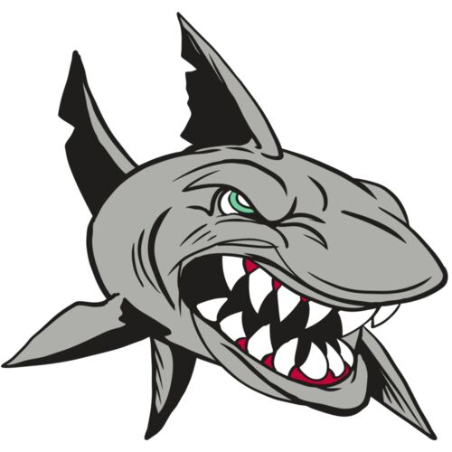 AR4 SHARK 01 RQC Thumbnail