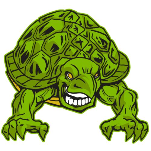 AR31 TURTLE 03 RQC Thumbnail