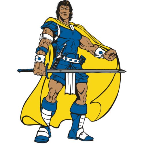 AR PALADIN 49 RC Thumbnail